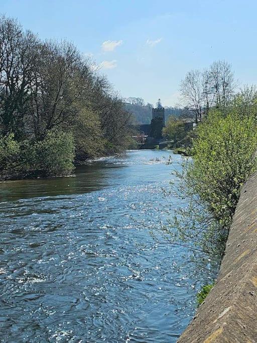 Riverside Retreat Llandysul Exterior photo