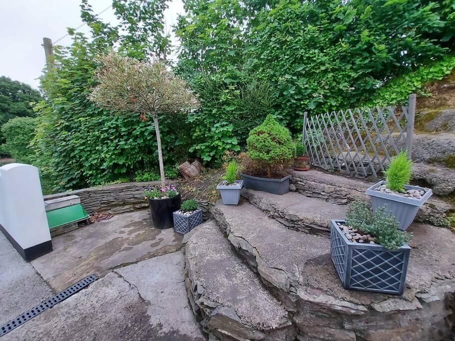 Riverside Retreat Llandysul Exterior photo
