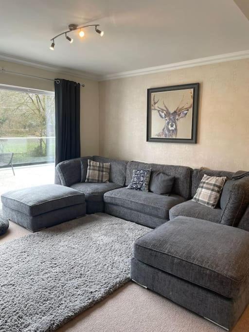 Riverside Retreat Llandysul Exterior photo